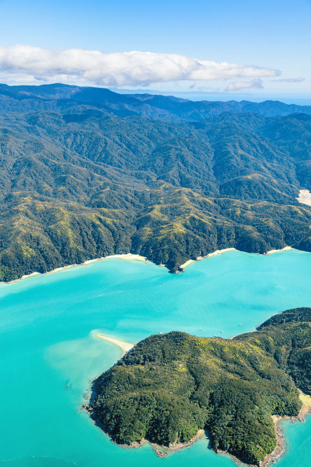 Abel Tasman National Park Triptych, New Zealand - Image 2