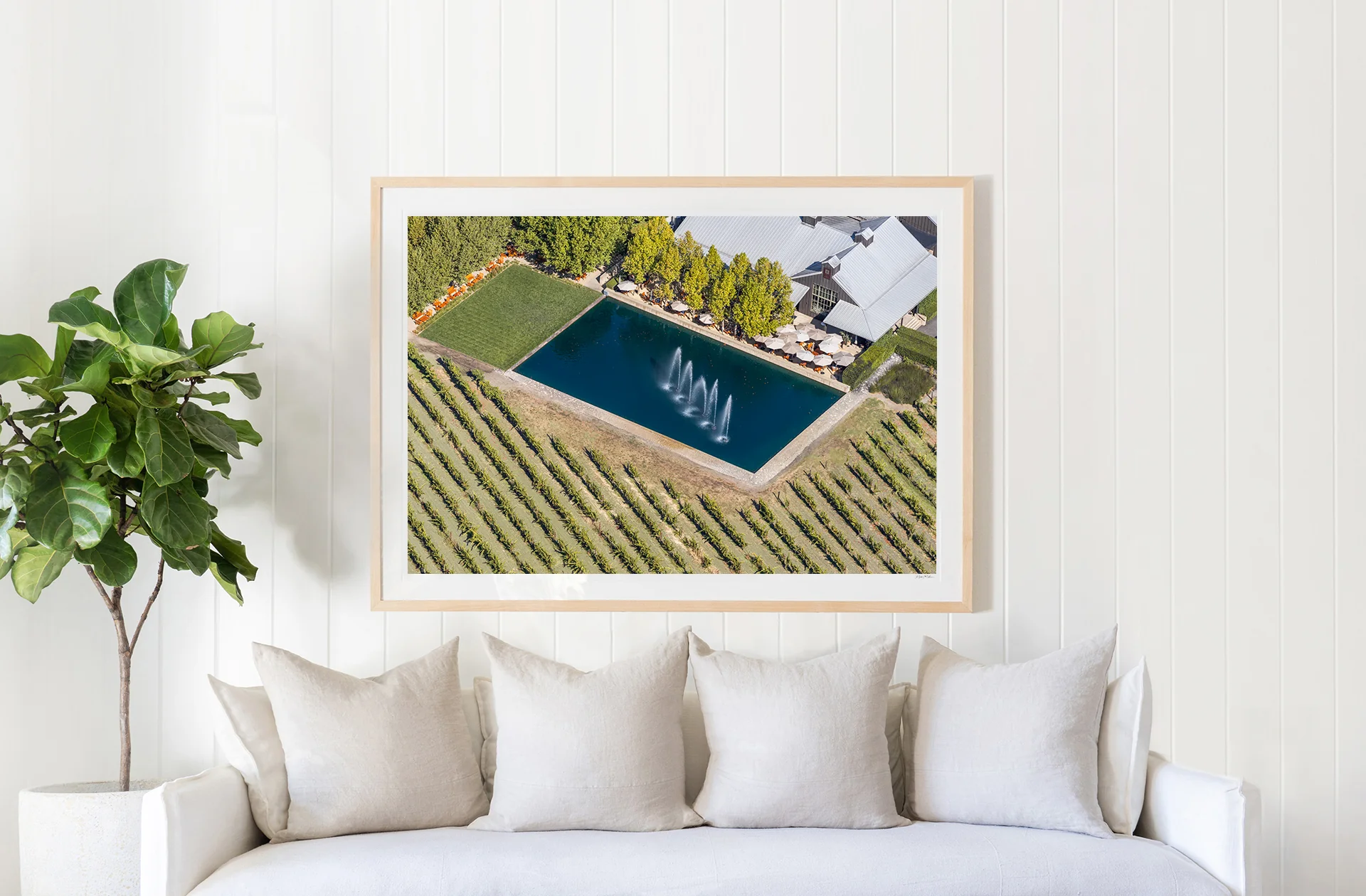 Alpha Omega Winery, Napa Valley - Image 2