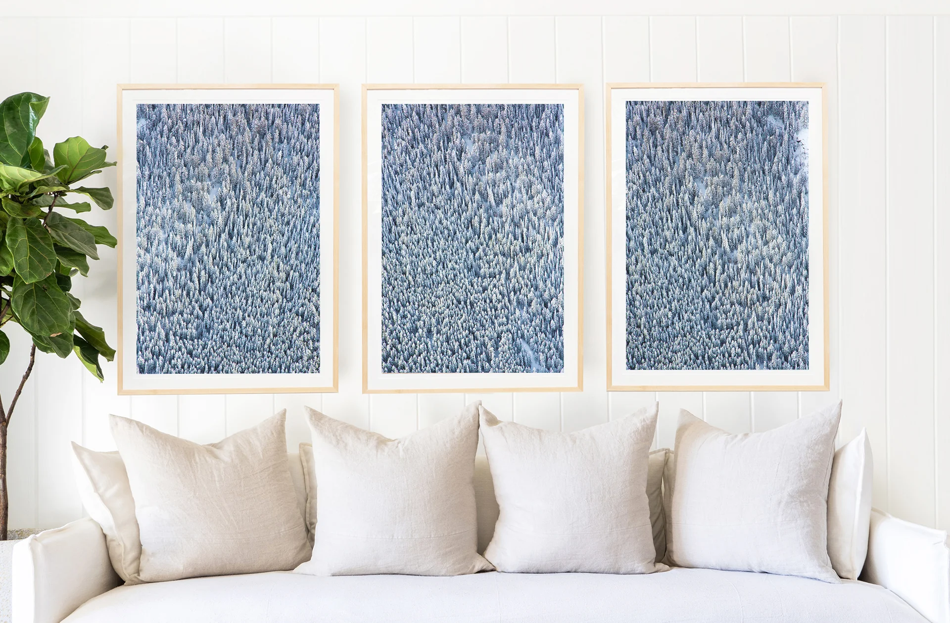 Aspen Trees Triptych - Image 4