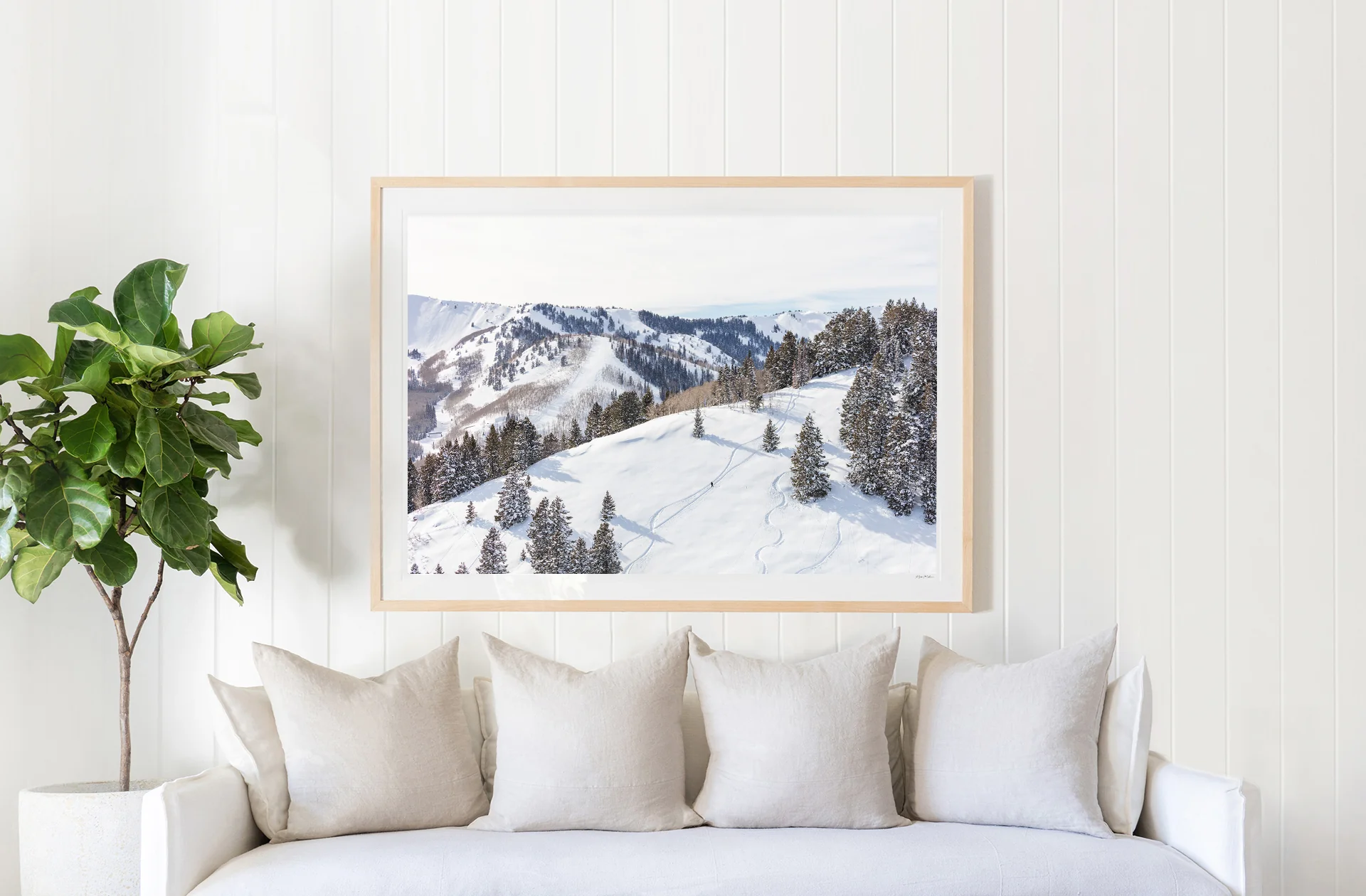 Back Country, Park City - Image 2