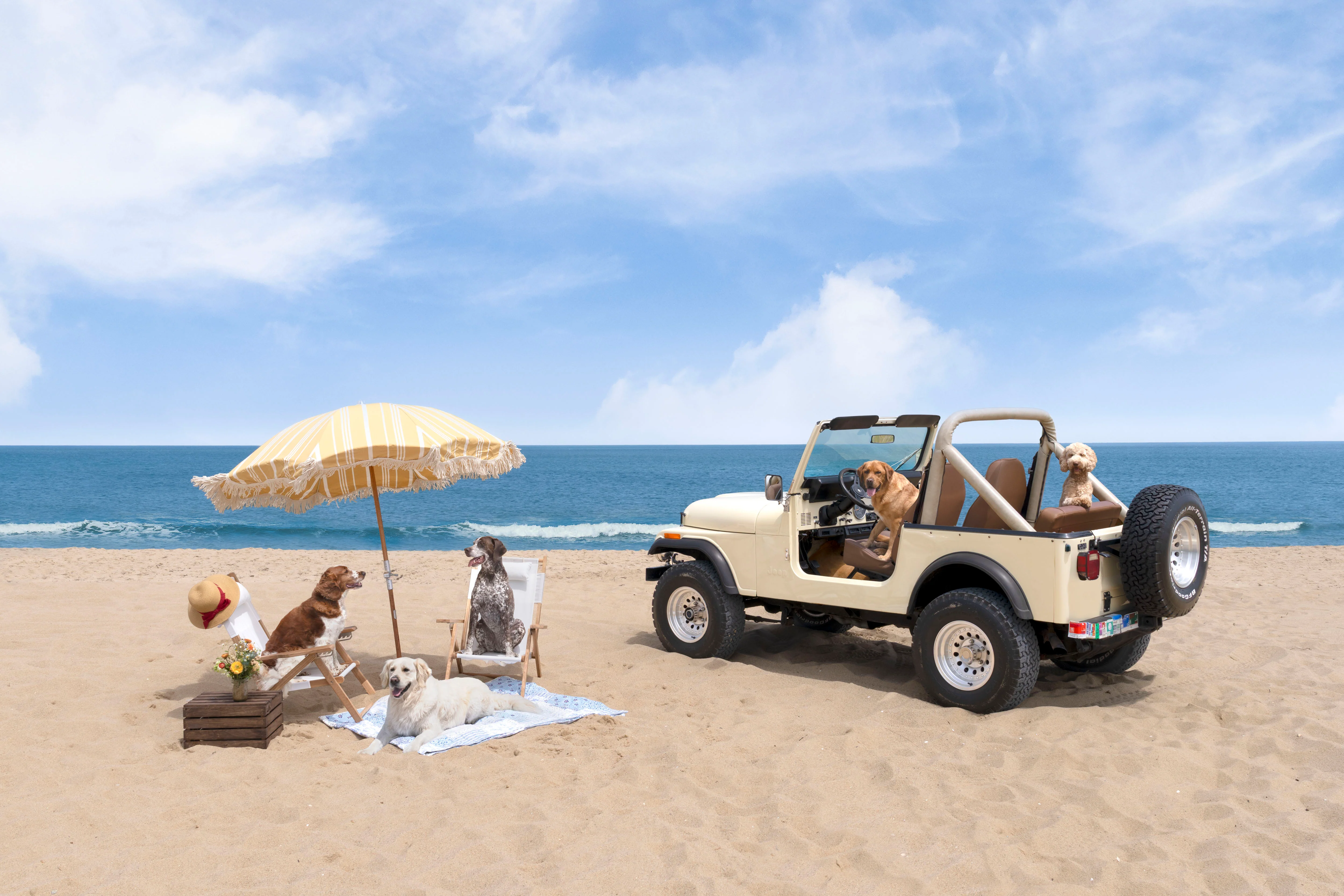 Beach Picnic, Martha’s Vineyard