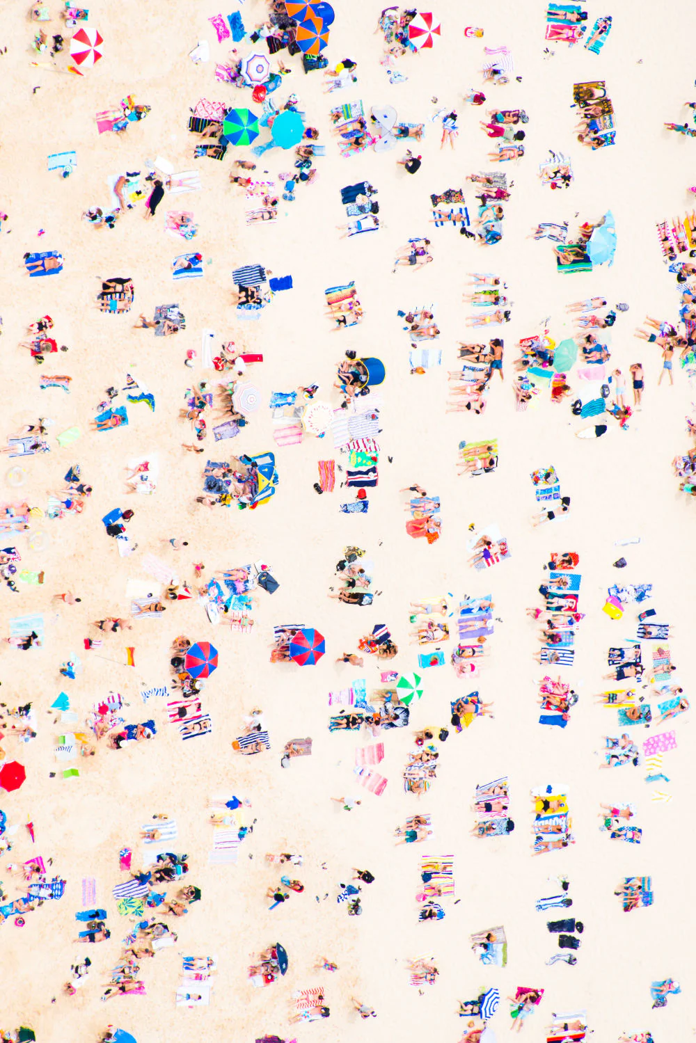 Bondi Beach Triptych - Image 3