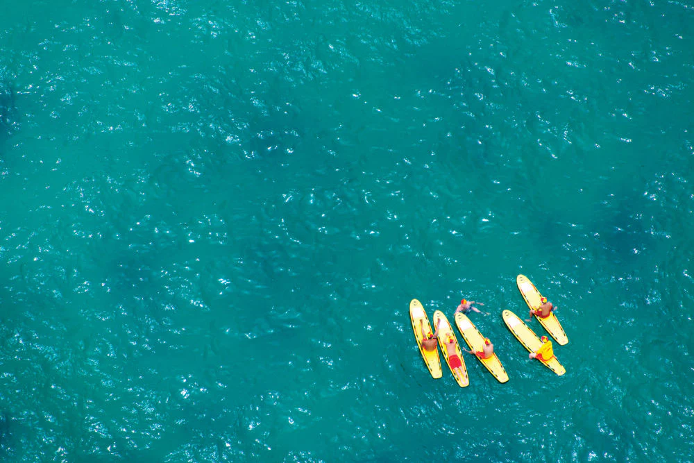 Bondi Surf Lifeguards - Image 2