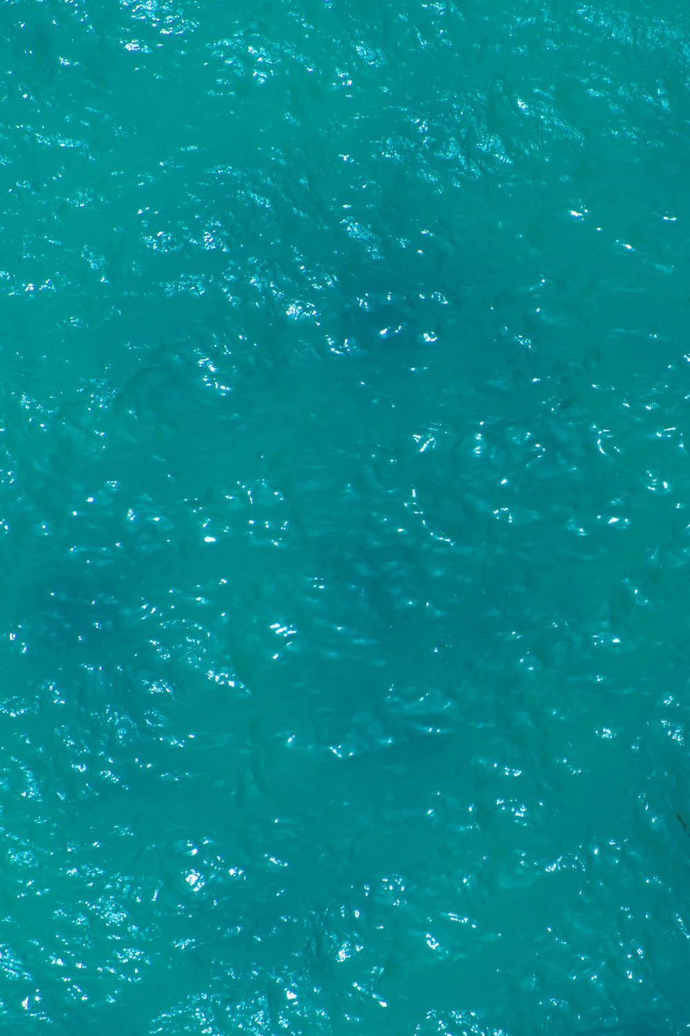 Bondi Surf Lifeguards Triptych - Image 3