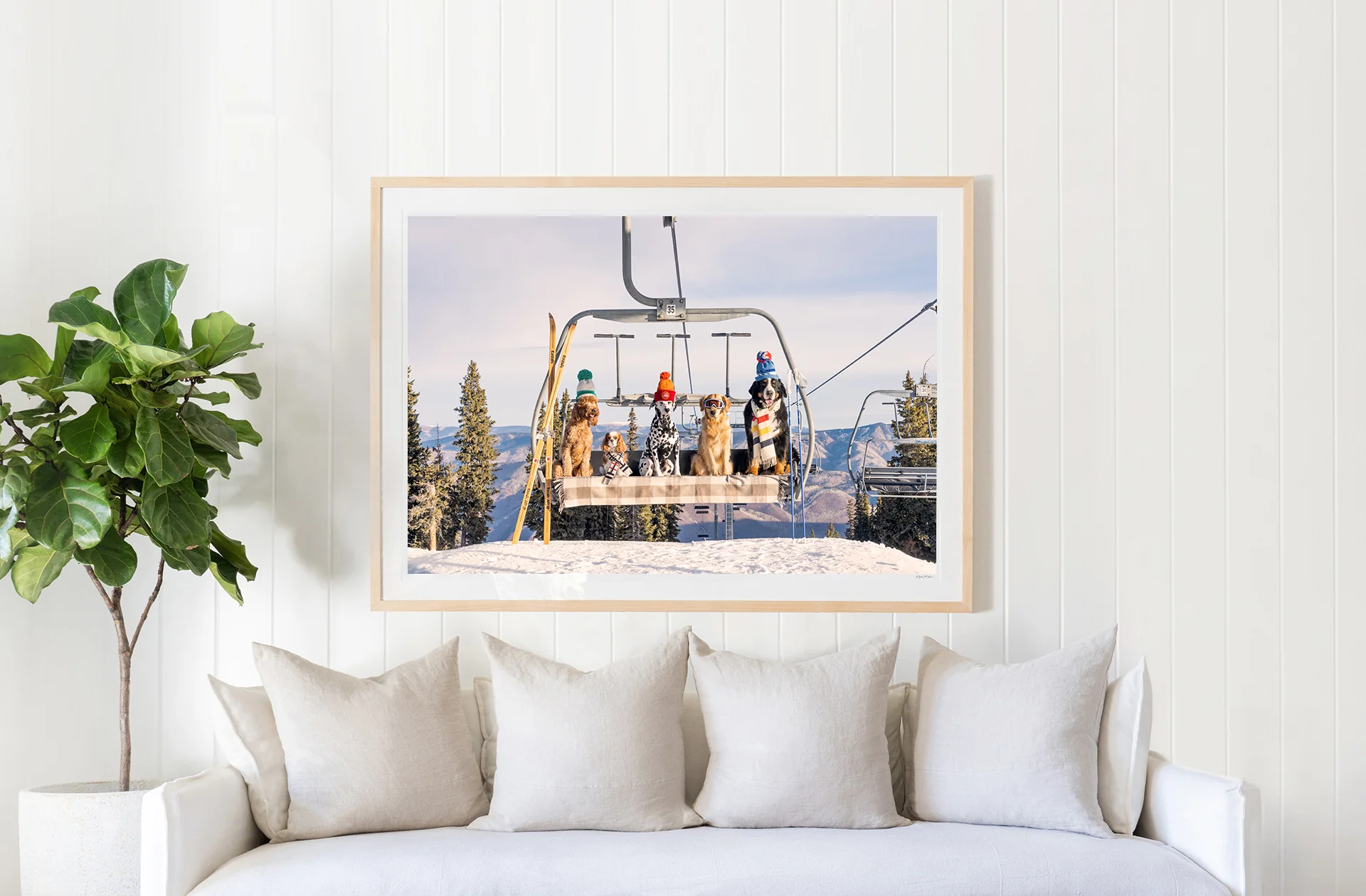 Chairlift Pups, Aspen - Image 2