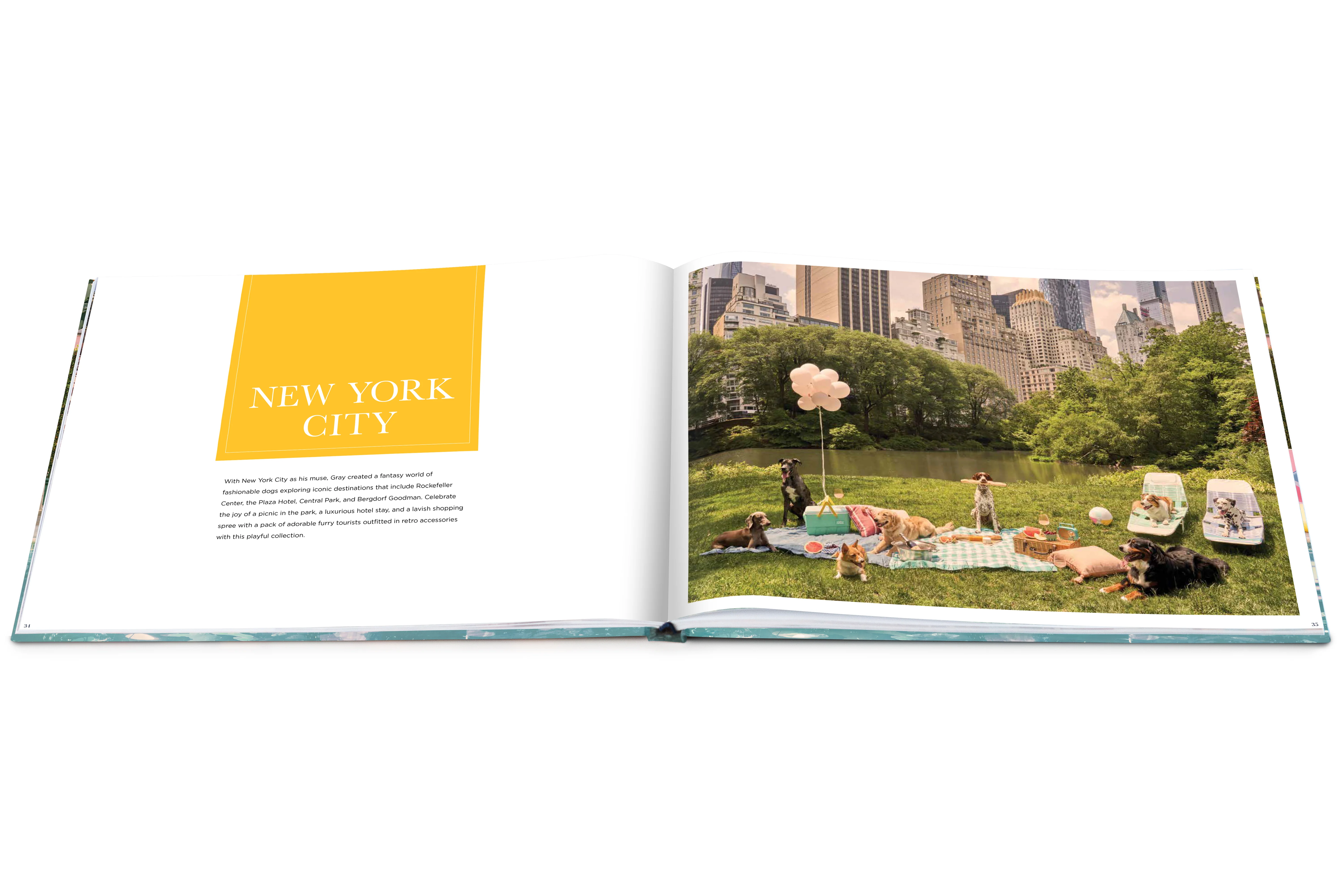 DOGS Book - Image 8