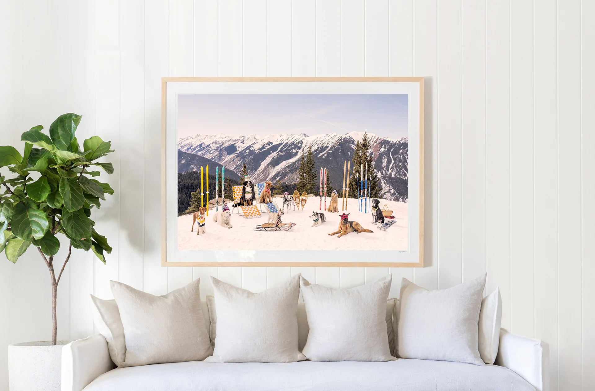 Dogs of Aspen - Image 2