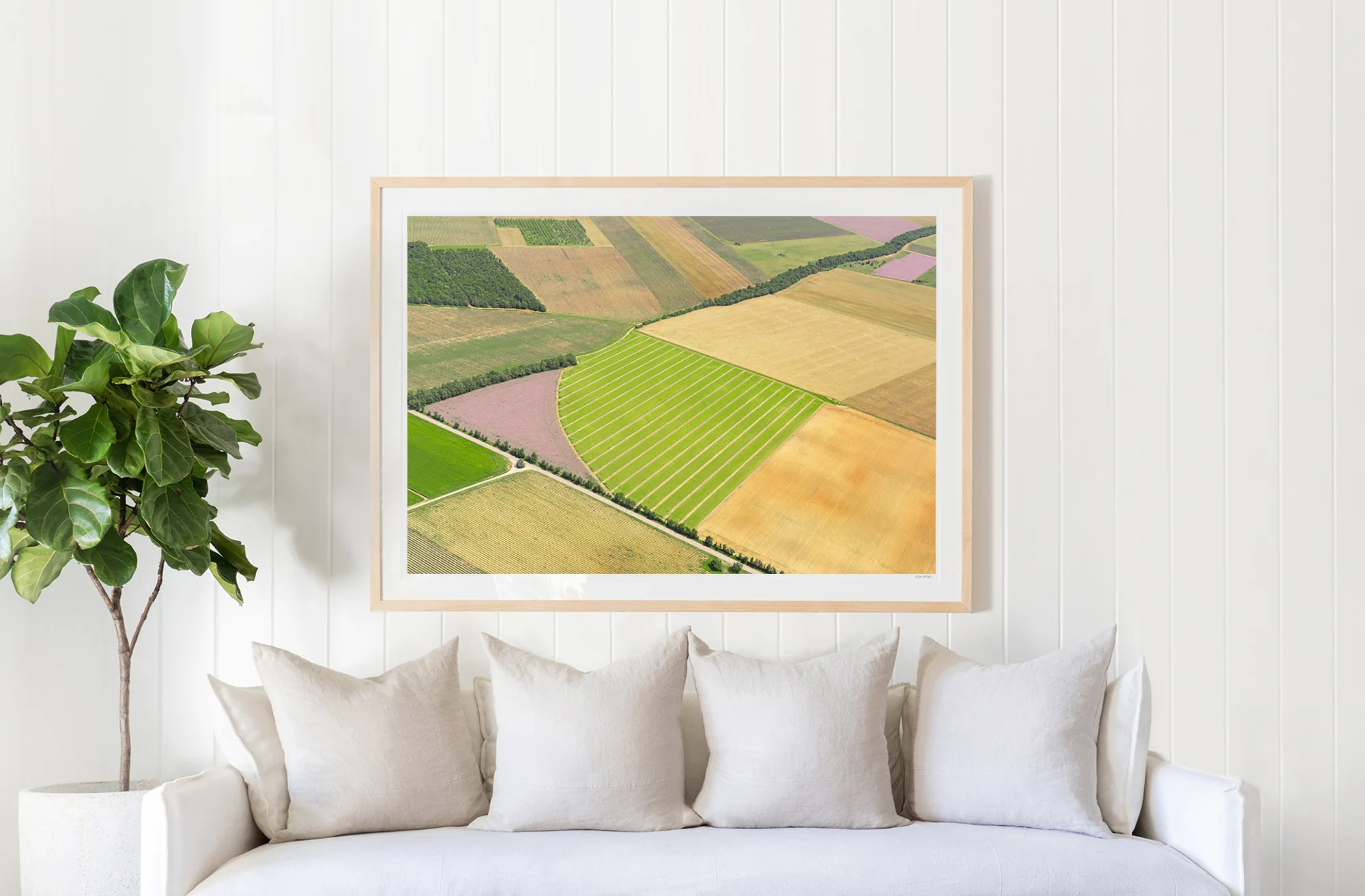 Fields of Provence - Image 2