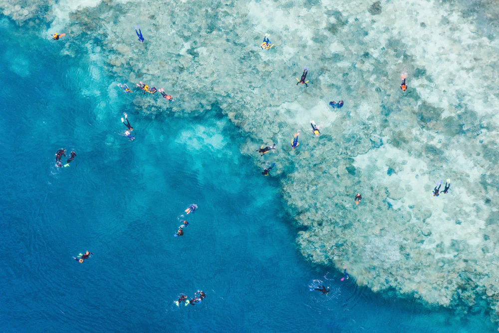 Great Barrier Reef Snorkelers