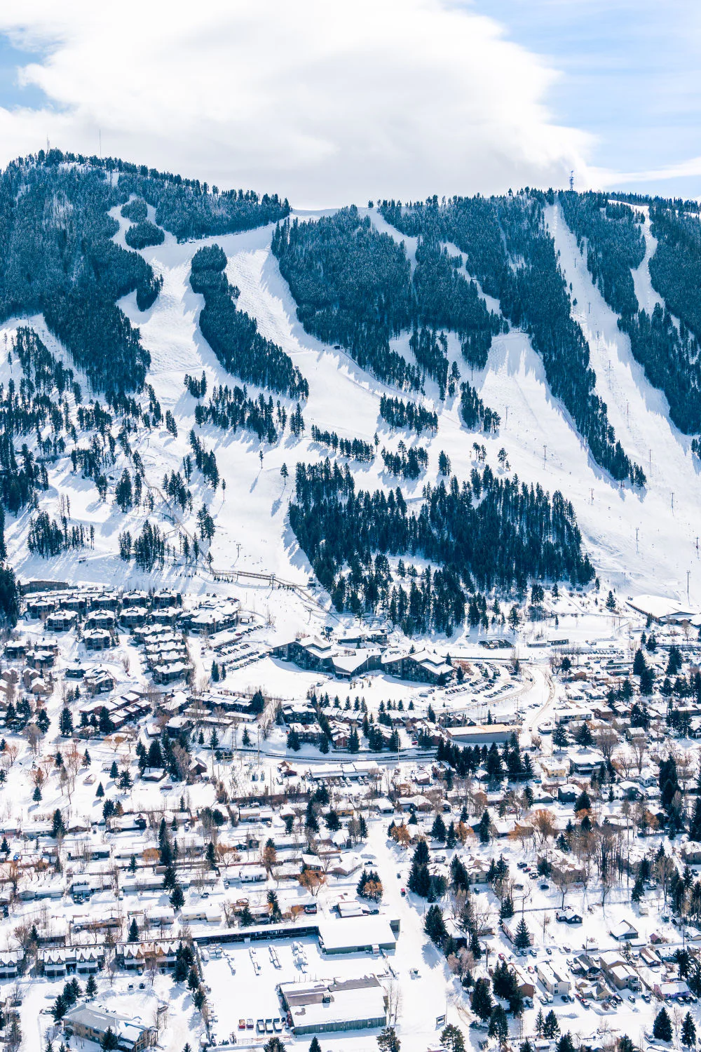 Jackson Hole Triptych - Image 2