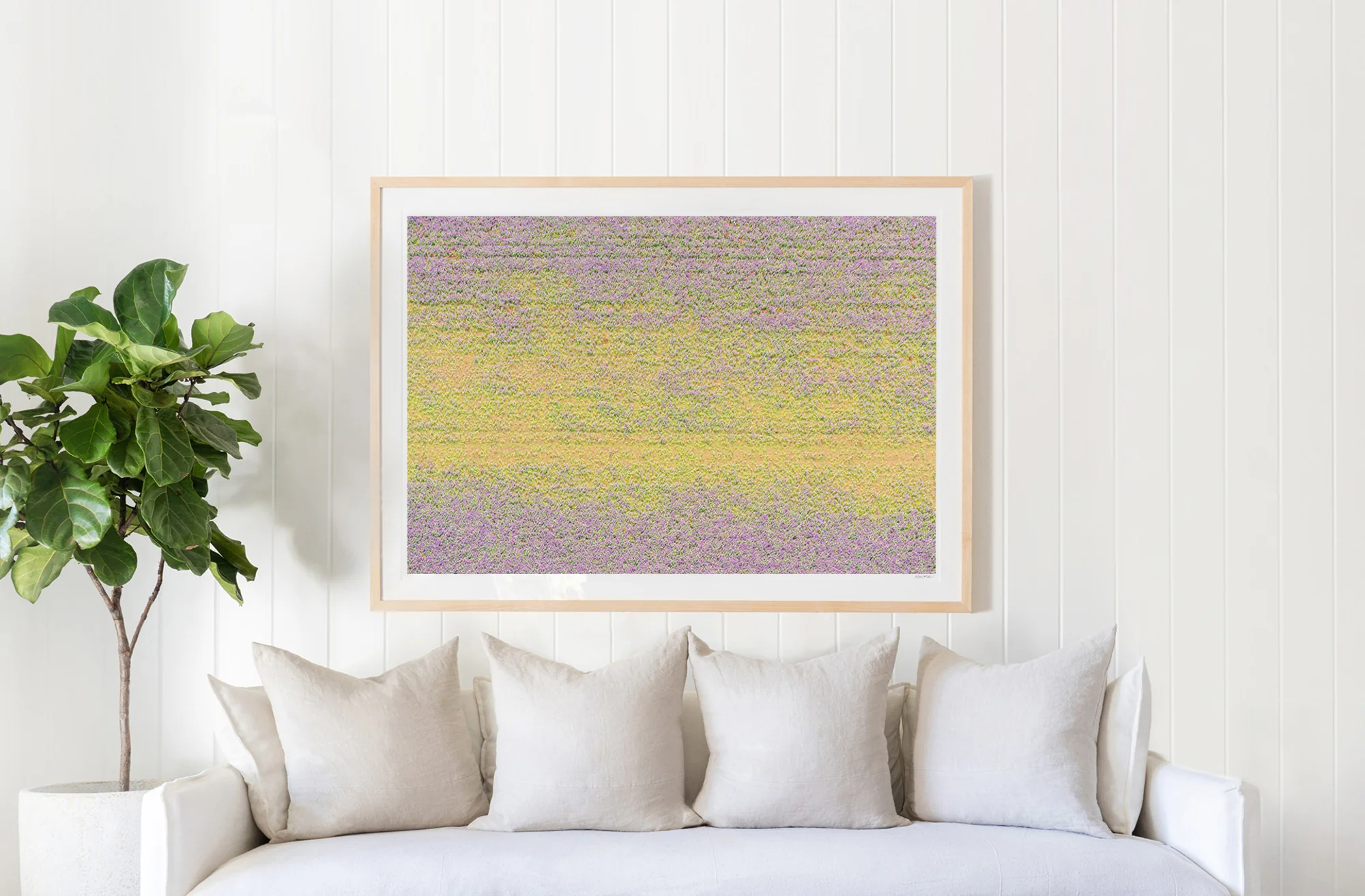 Lavender and Flowers, Provence - Image 2