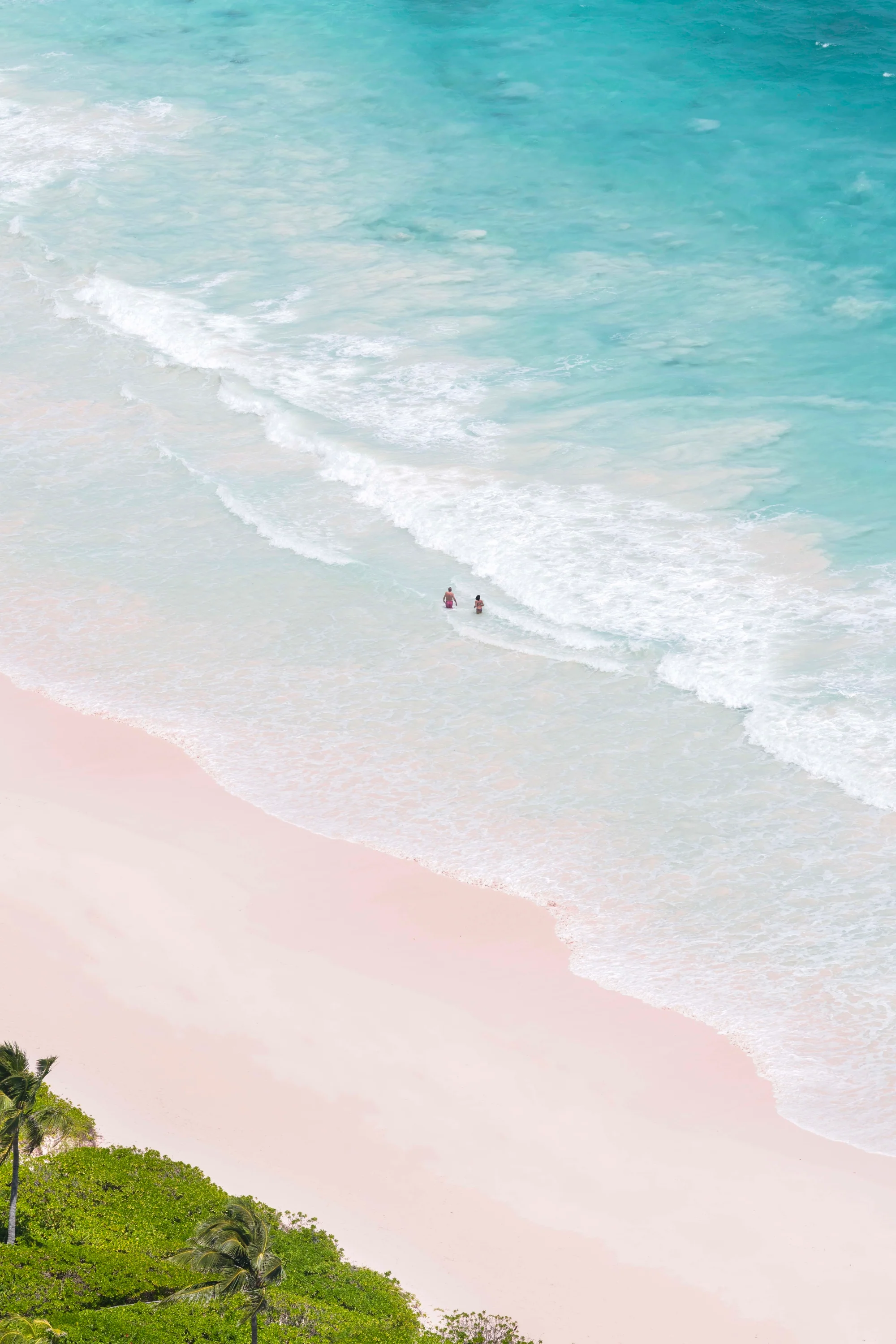 Pink Sand Beach Swimmers Vertical, Harbour Island, Bahamas