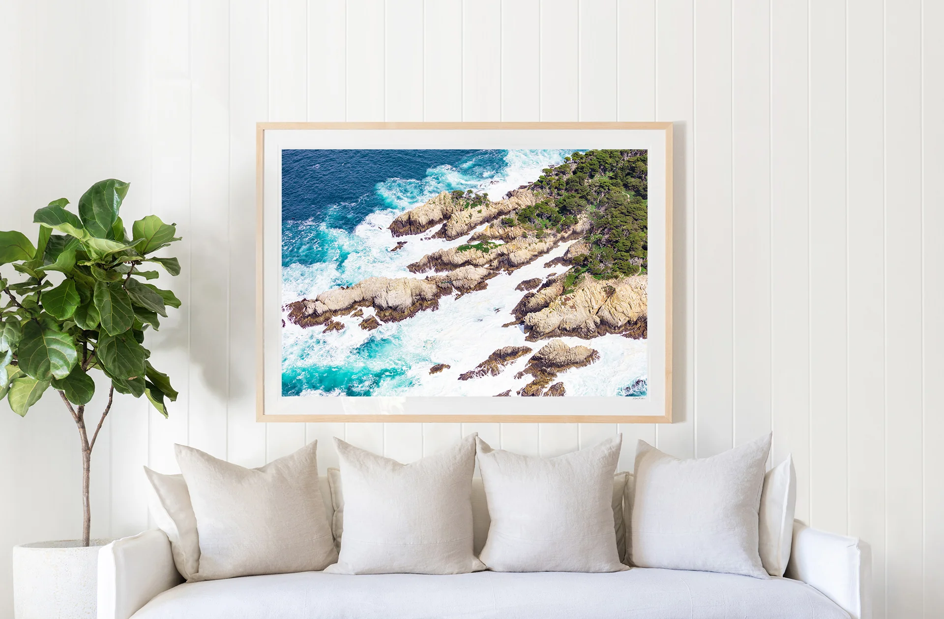 Point Lobos - Image 2