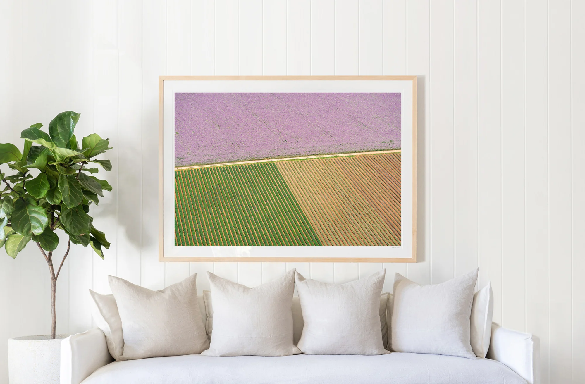 Provençal Road - Image 2