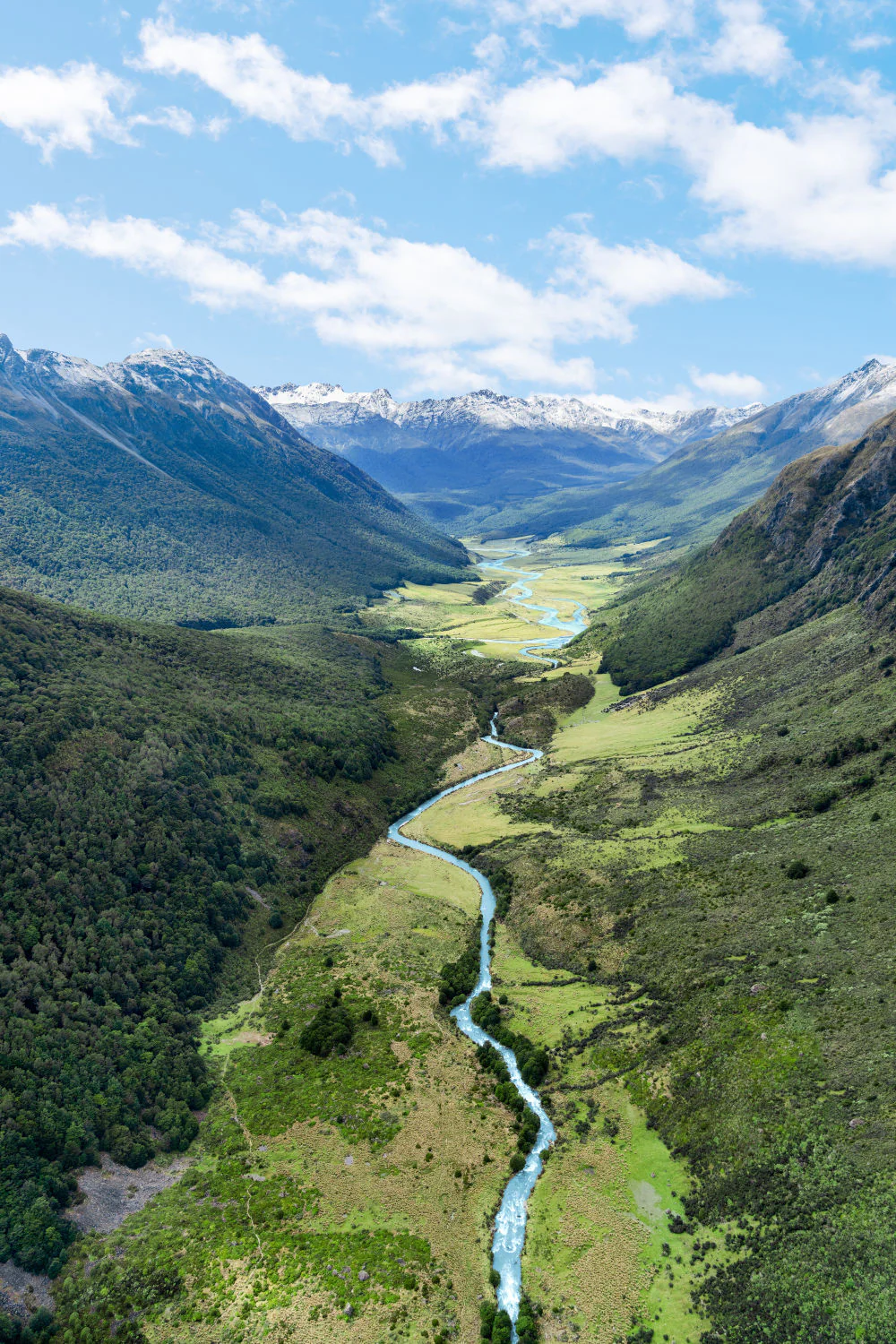 Queenstown Valley Triptych, New Zealand - Image 2