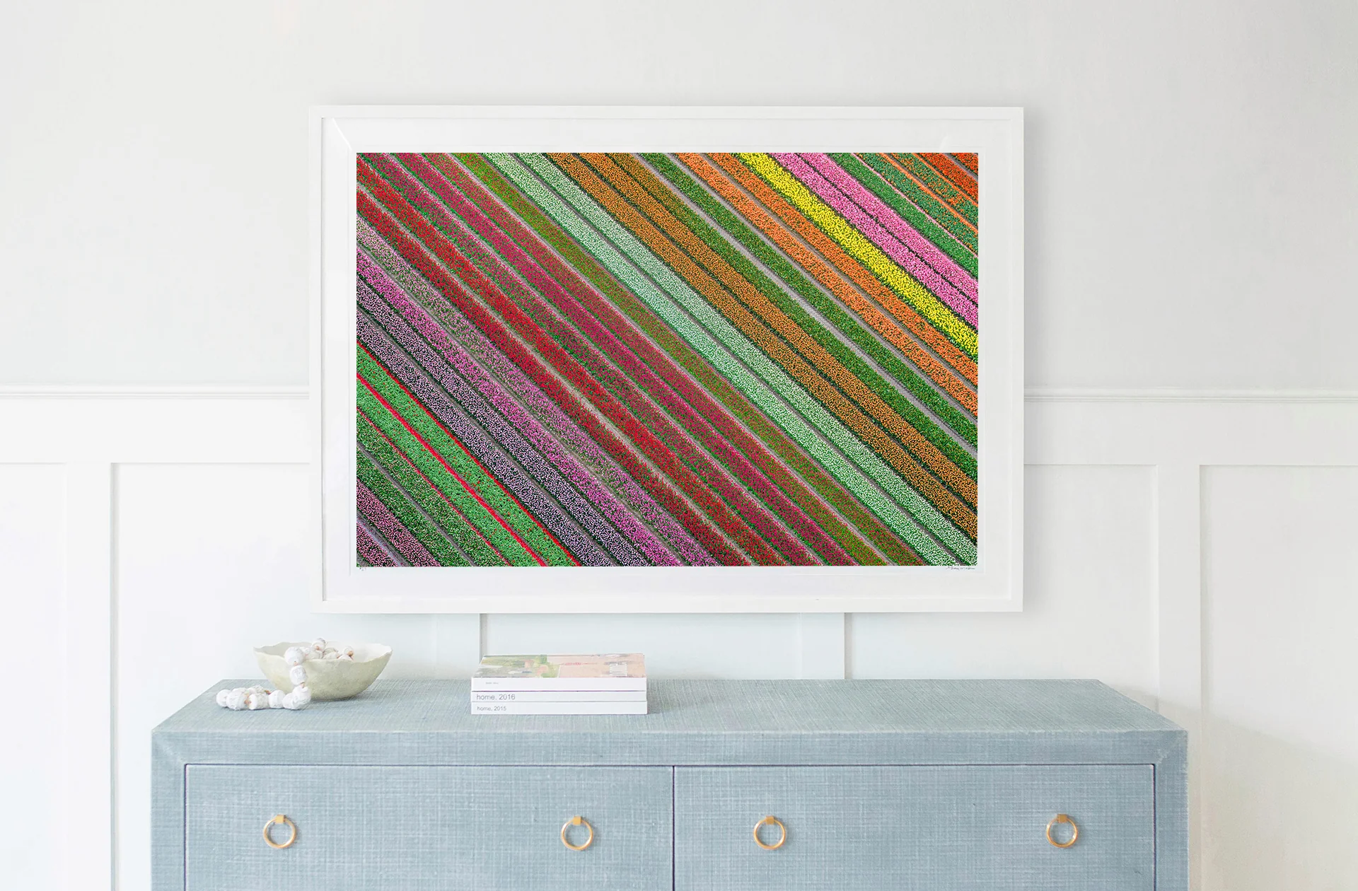 Rainbow Striped Tulip Fields, Netherlands - Image 2