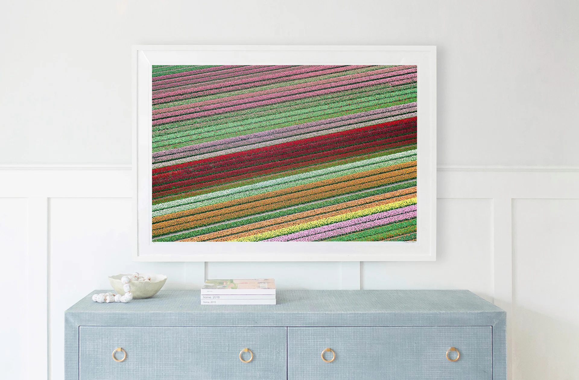 Rainbow Tulip Fields, Netherlands - Image 2