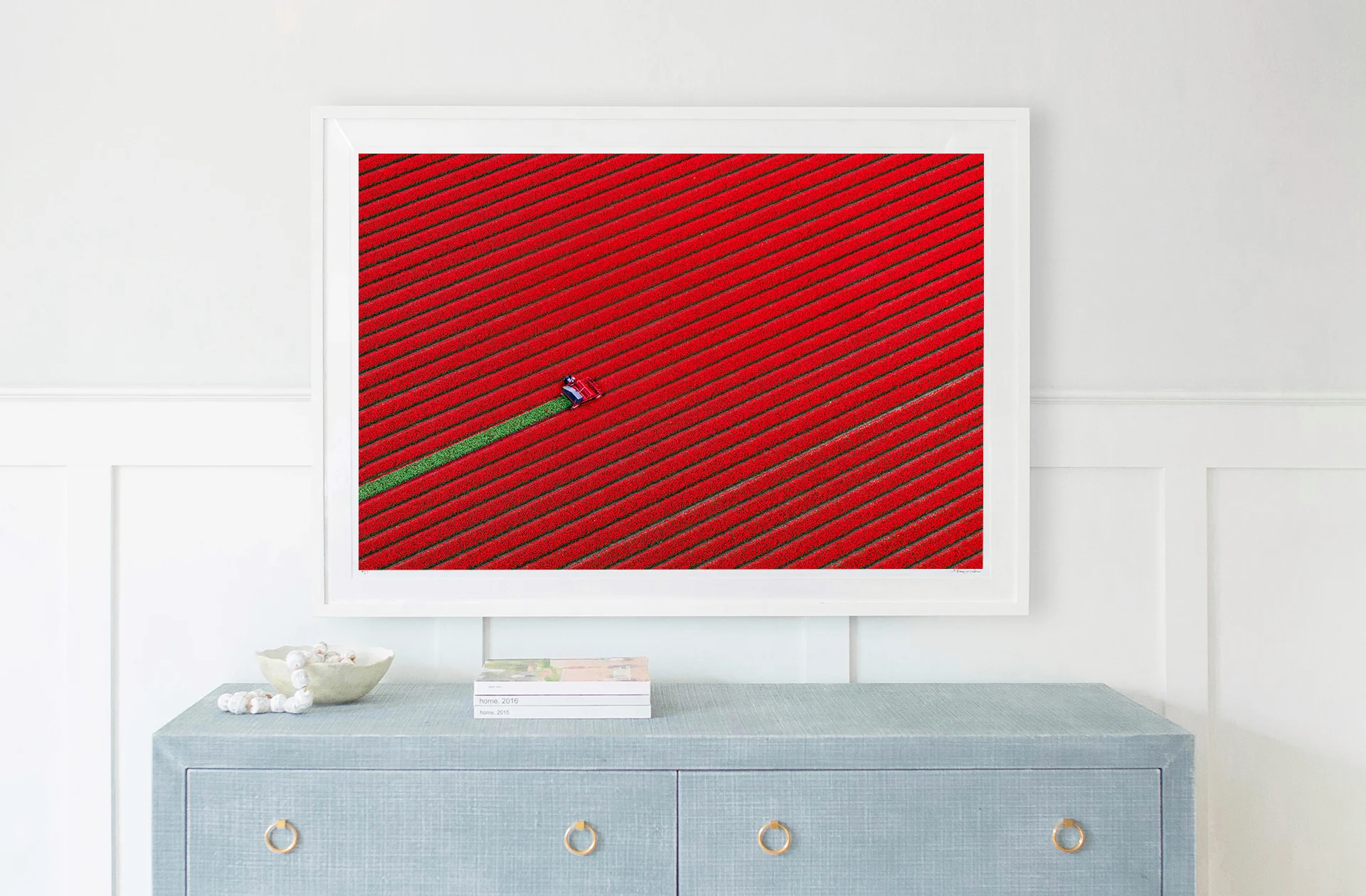 Red Tulip Harvest, Dutch Tulip Fields, Netherlands - Image 2