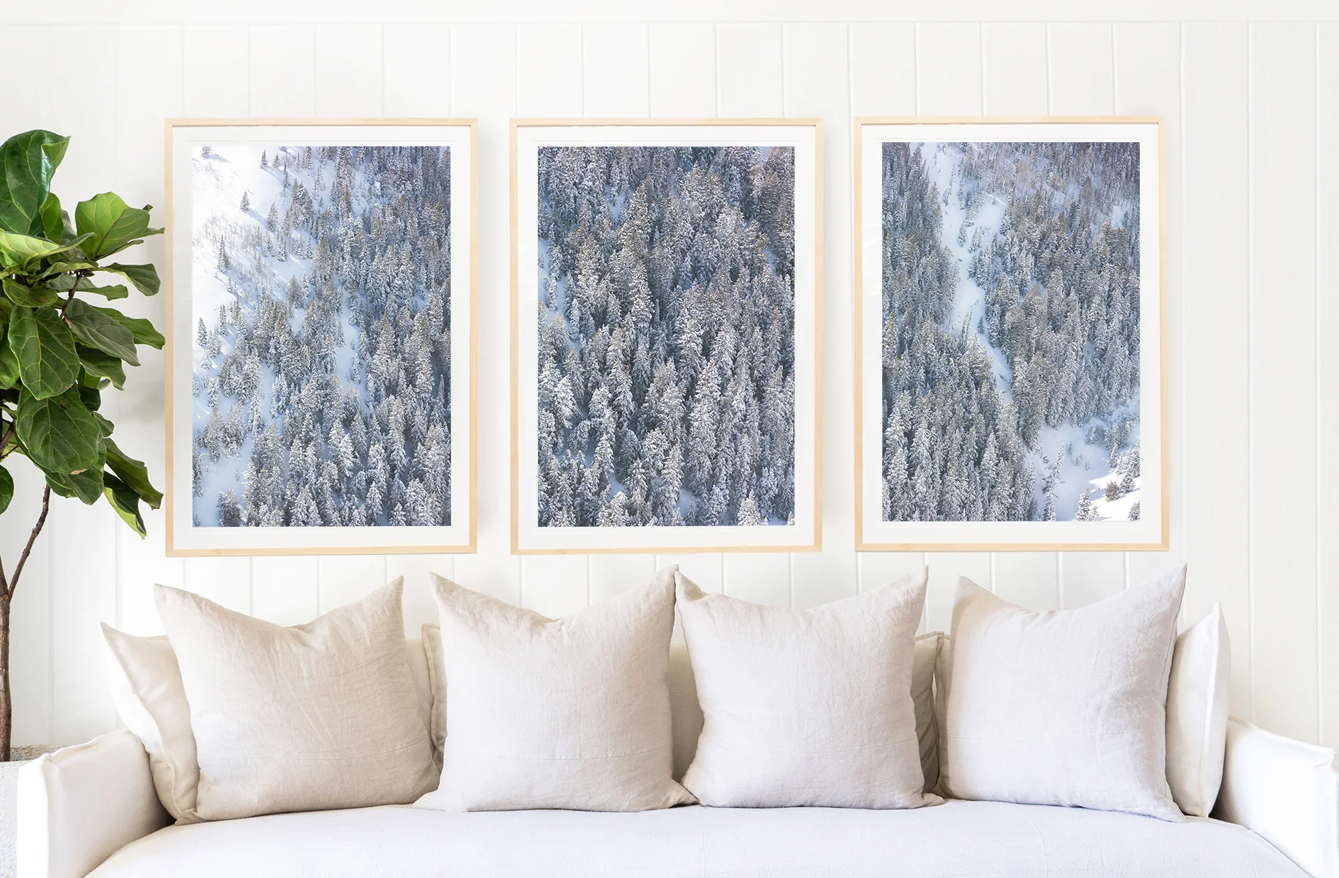 Snowy Pines Triptych - Image 4
