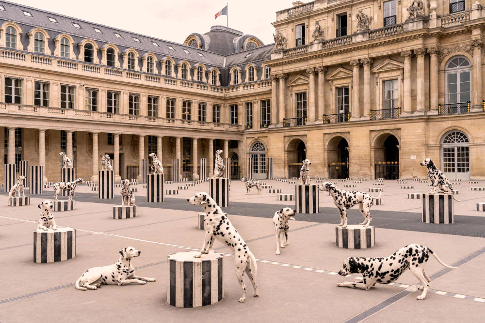 Spotted at Palais-Royal, Paris