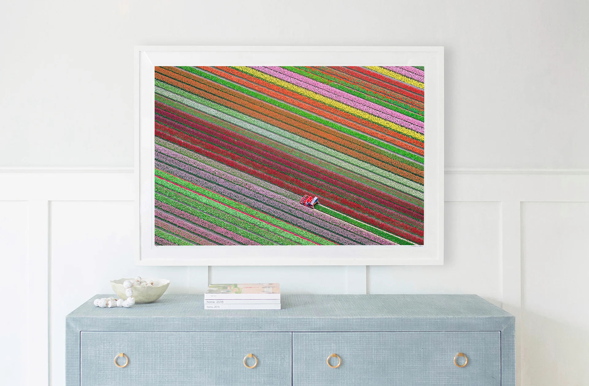 Spring Harvest, Dutch Tulip Fields, Netherlands - Image 2