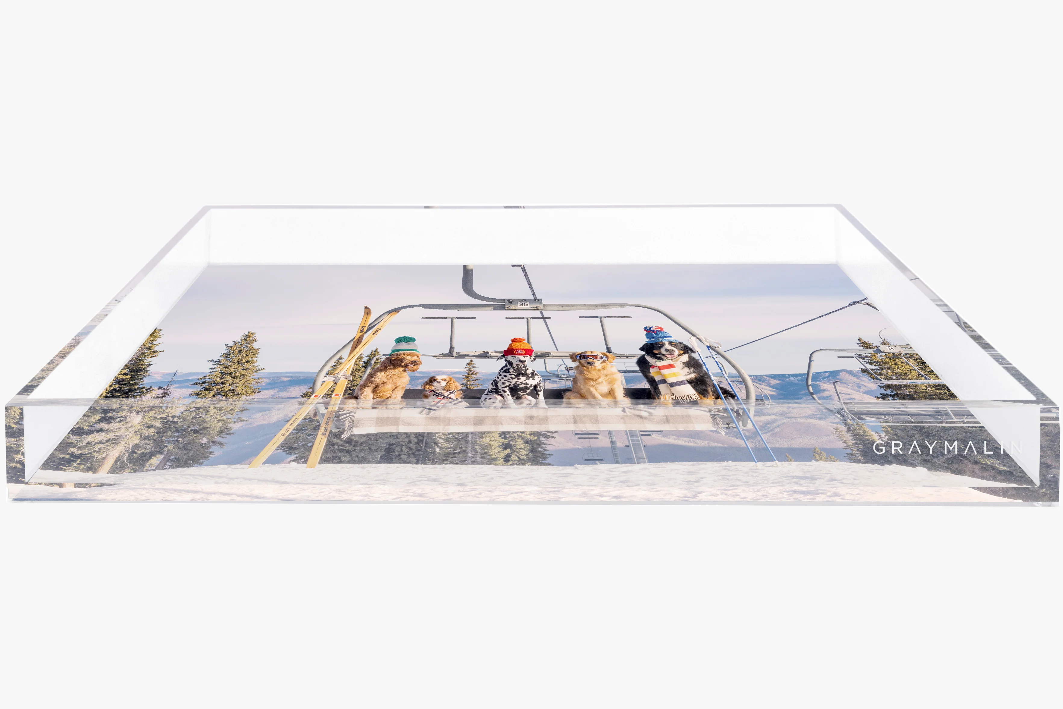 The Chairlift Pups Tray - Image 2