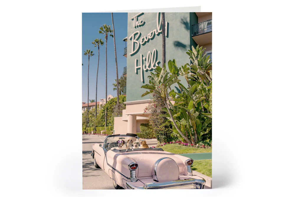 The Dogs Notecard Set - Image 5