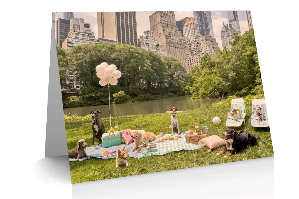 The Dogs Notecard Set - Image 6