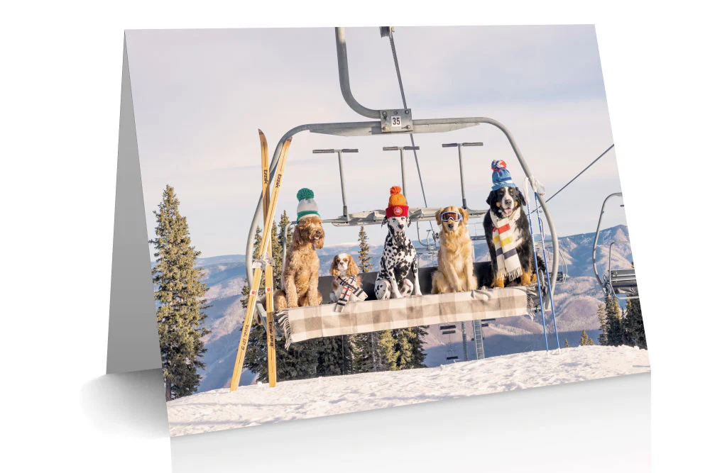 The Dogs Notecard Set - Image 8