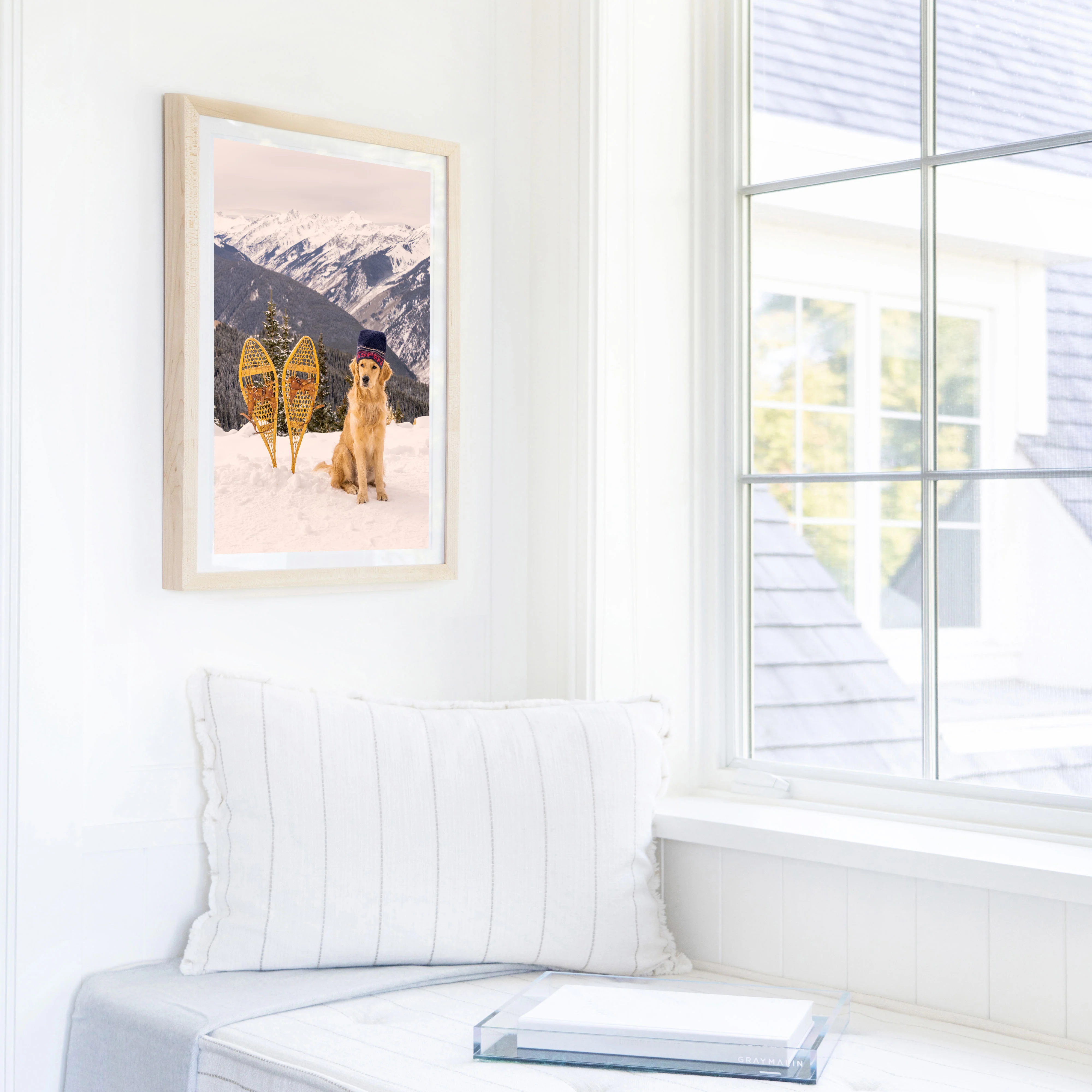 The Golden Retriever, Aspen - Image 4