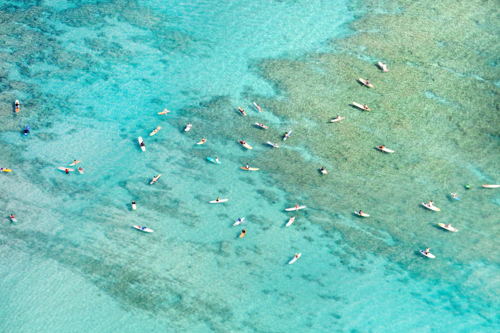 The Surfers, Waikiki
