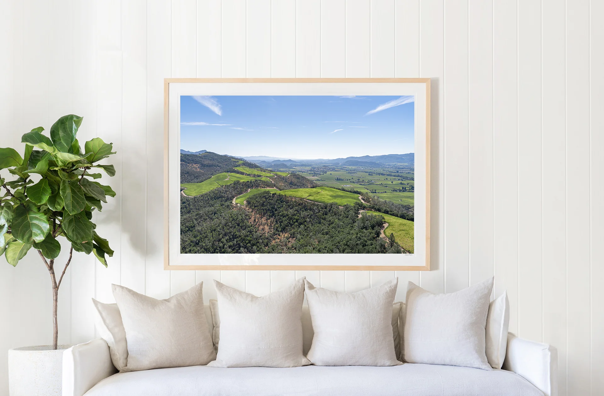 The View, Napa Valley - Image 2