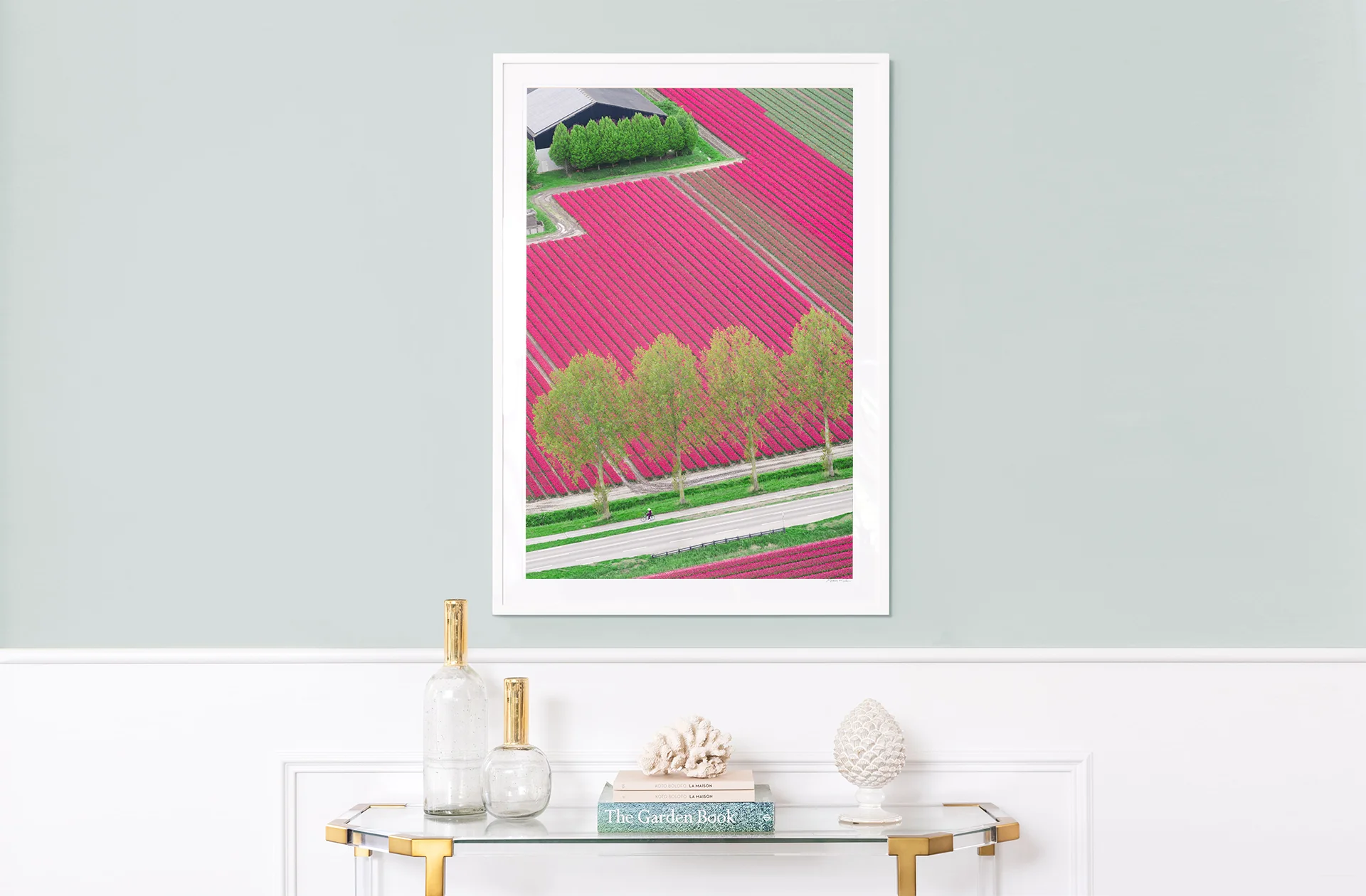 Tulip Farm, Netherlands - Image 2