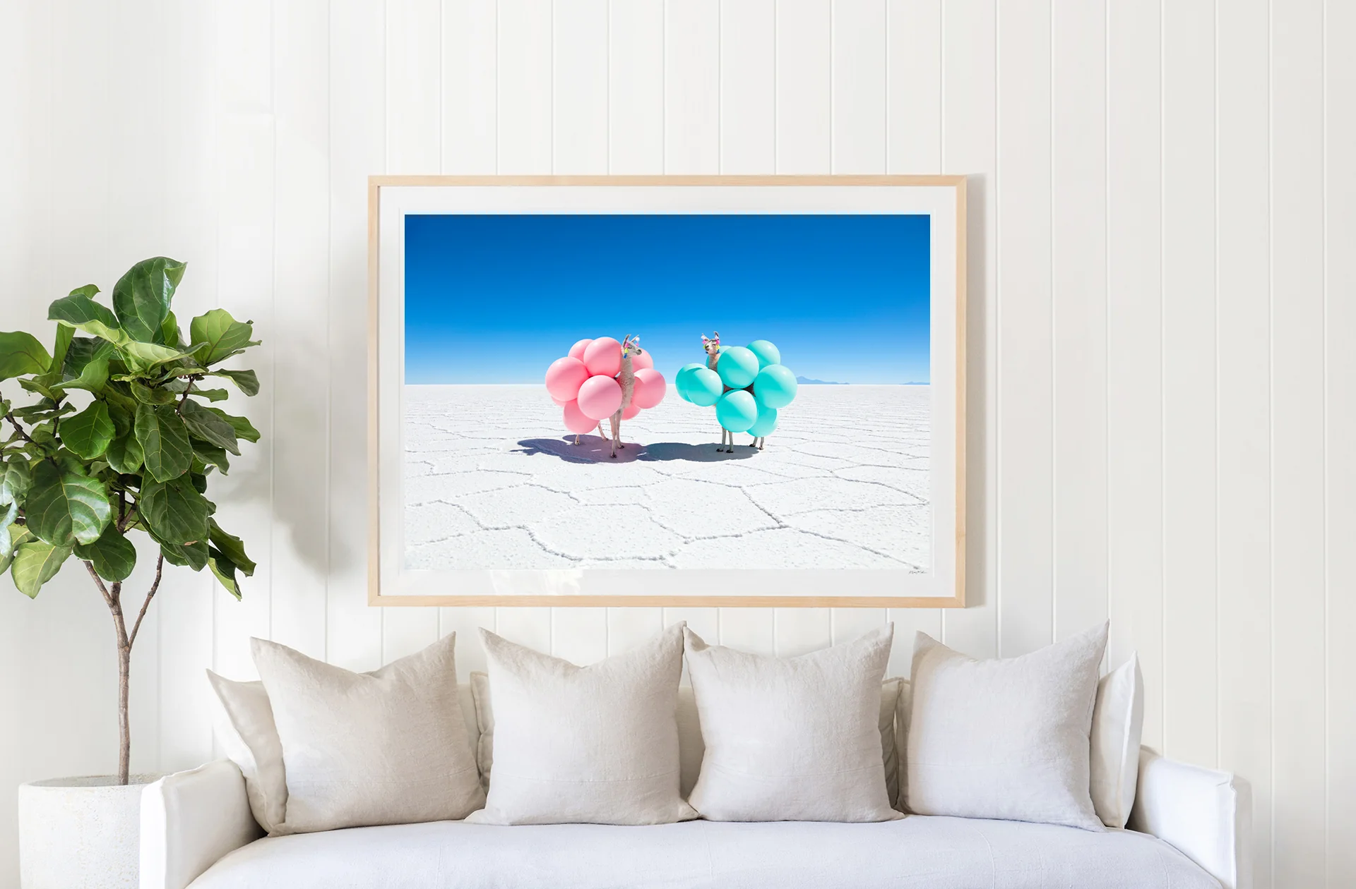 Two Llamas with Pink and Teal Balloons - Image 2